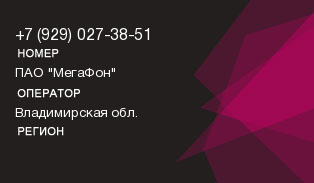 9290273851